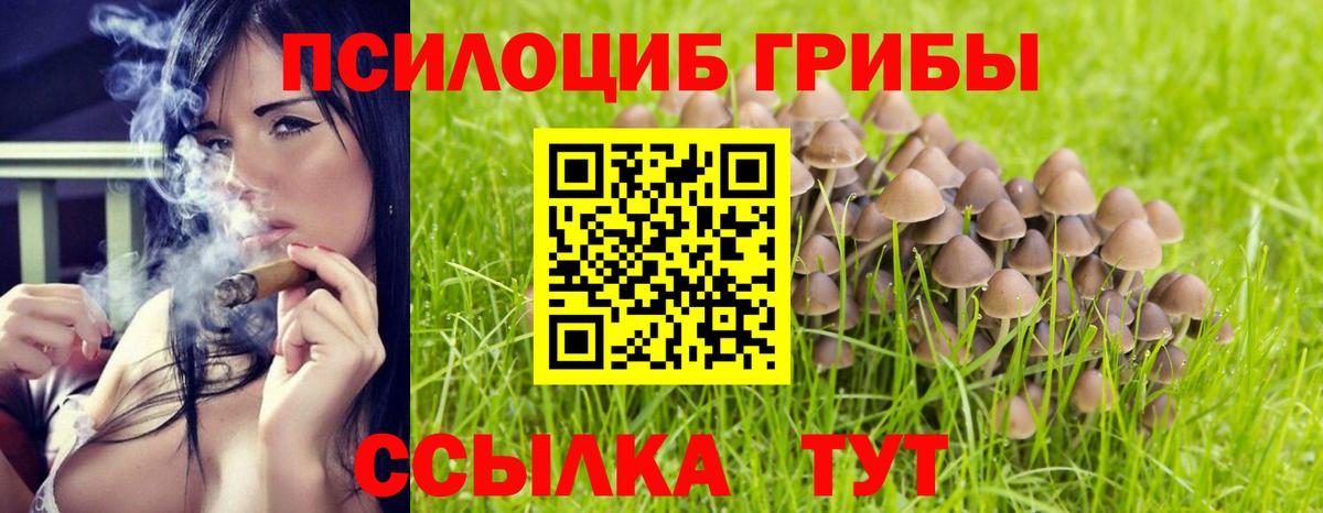 Амурск  Галлюциногенные грибы прущие грибы  Псилоцибиновые грибы ЛСД  Вход с VPN 